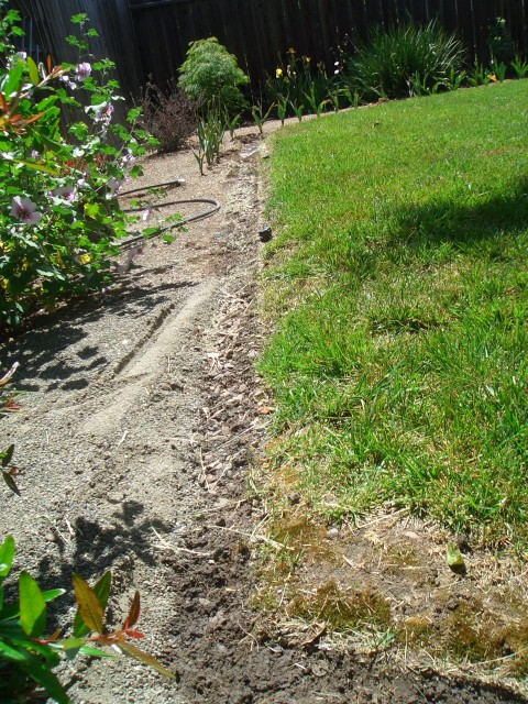 05-May Backyard starting refresh1.jpg