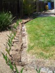 05-May Backyard starting refresh2.jpg