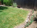 05-May Backyard starting refresh5.jpg