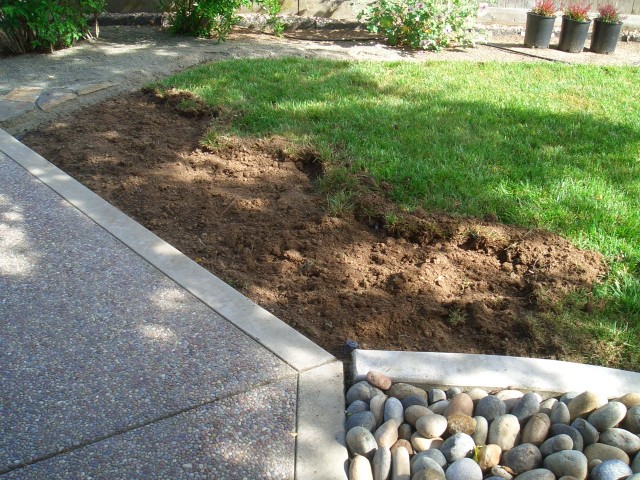 05-May Backyard starting refresh8.jpg