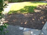 05-June backyard 3rd grass removal.jpg