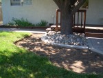 05-June backyard 3rd grass removal1.jpg