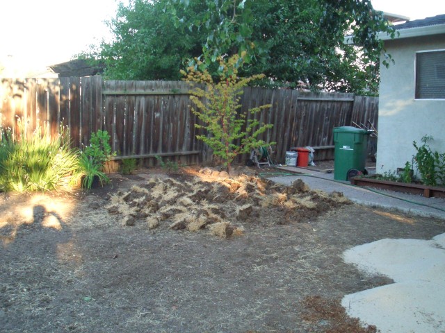 05 Aug 06 back yard grass removal 02.jpg