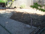 05 Aug 12 back yard 01 path edging.jpg