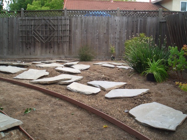 05 Aug 15  back yard 04 path grated flagstones.jpg
