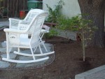 2005 Sep 6 yard update back - japanese maples planted.jpg
