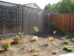 2005 Oct 2 Back yard project update 2 planted.jpg