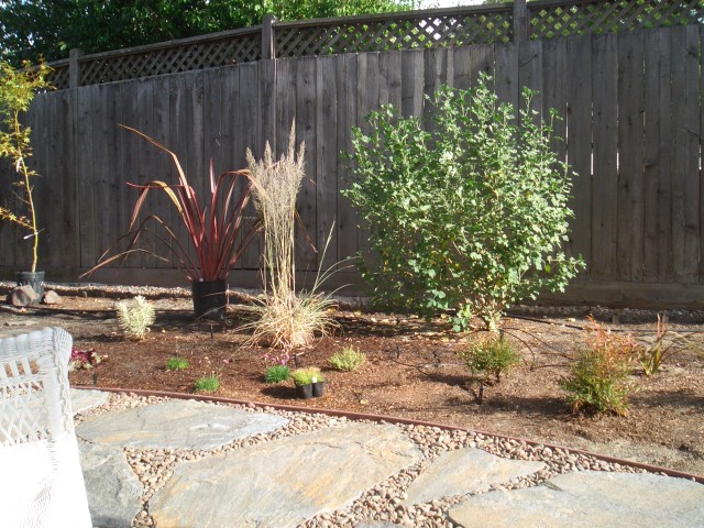 2005 Oct 2 Back yard project update 4 planted except one.jpg