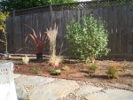 2005 Oct 2 Back yard project update 4 planted except one.jpg