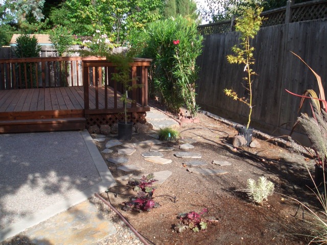 2005 Oct 2 Back yard project update 5 planted except two.jpg