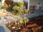 2005 Oct 15 Yard Projects front 03.jpg