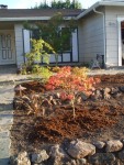 2005 Oct 15 Yard Projects front 07.jpg