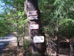 Highlight for Album: Ritchie Creek
