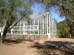Highlight for Album: Spring Mountain Vineyard