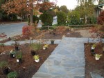 2005 Nov 13 Front Yard planting 01.jpg