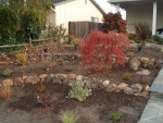 2005 Nov 13 Front Yard planting 05.jpg
