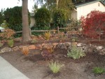 2005 Nov 13 Front Yard planting 06.jpg