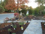 2005 Nov 8 Front Yard plant shopping 1.jpg