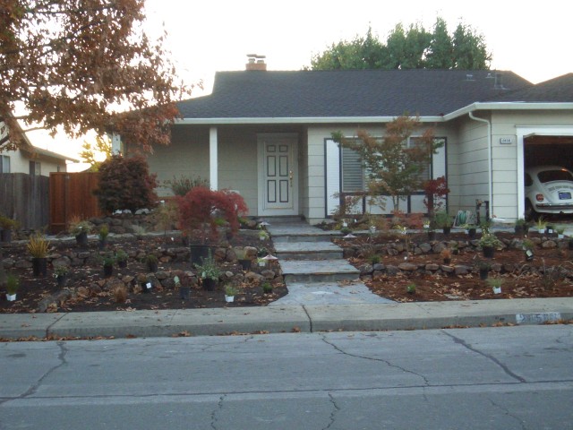 2005 Nov 8 Front Yard plant shopping 3.jpg