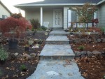 2005 Nov 8 Front Yard plant shopping 4.jpg